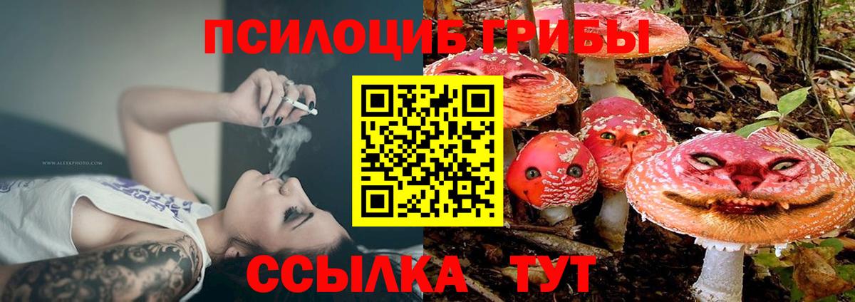 Псилоцибиновые грибы Psilocybe Москва