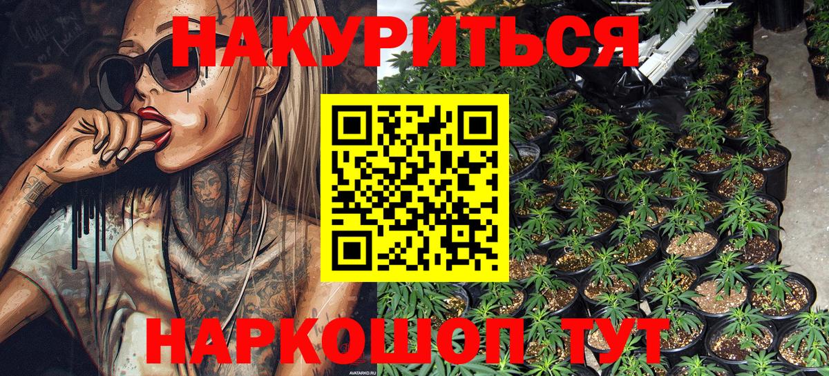 Конопля OG Kush Москва